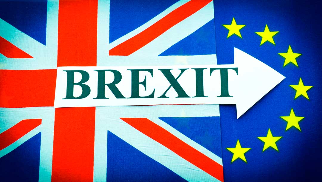 «BREXIT» y la Teoría del Cisne