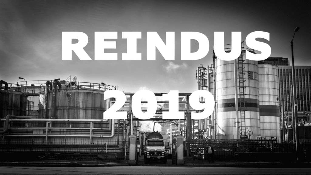 PROGRAMA REINDUS 2019